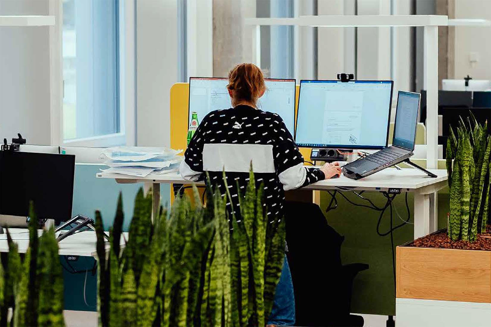 Der Arbeitsplatz ist modern gestaltet, mit zwei Bildschirmen und einer Person, die an einem Laptop arbeitet, während Pflanzen im Hintergrund stehen.